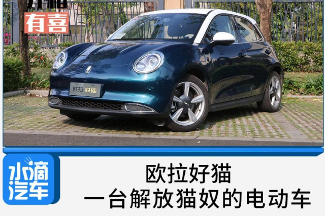 歐拉好貓，一臺解放貓奴的電動車