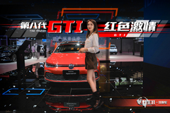 野生11