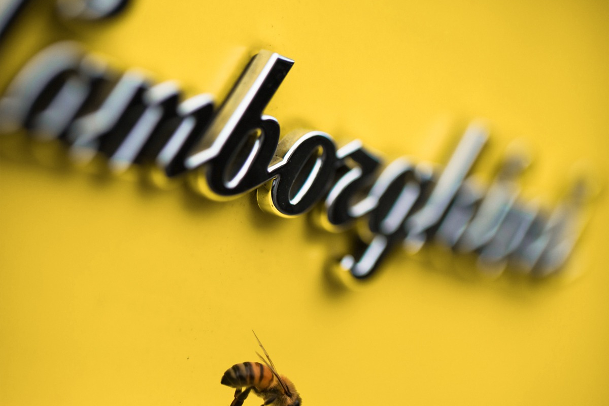 5月20日世界蜜蜂日：兰博基尼再次强调了其对环境保护的承诺