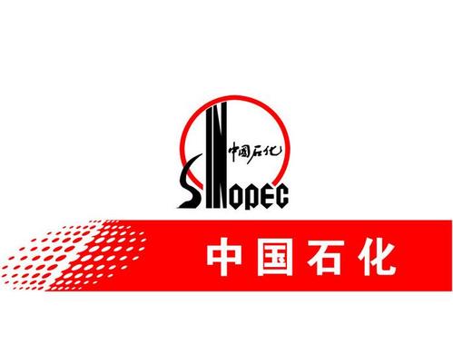 中國石化副總裁：“十四五”期間建設(shè)一千座加氫站