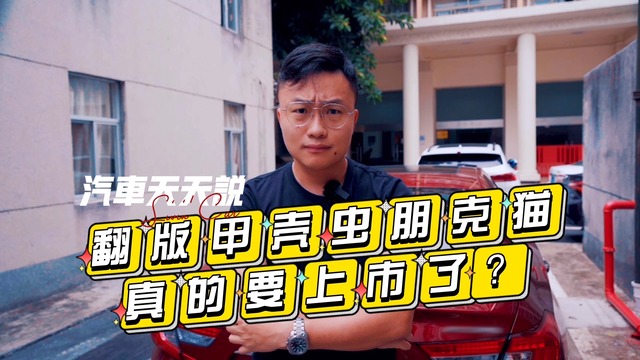 翻版甲壳虫朋克猫真的要上市了？@那辆车