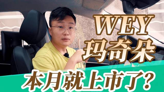 WEY玛奇朵本月就上市了？