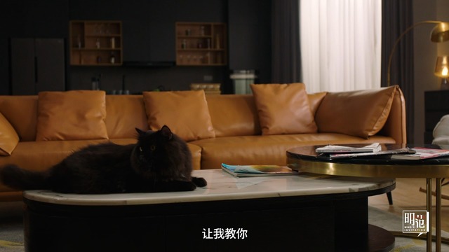 欧拉黑猫版（萌趣美学）