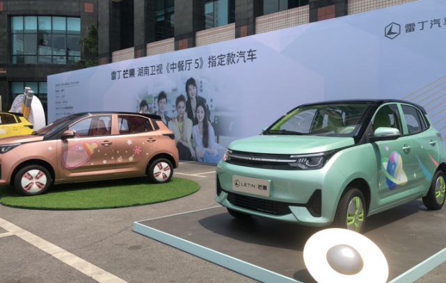 3.98万的雷丁芒果中餐厅版,能比肩宏光mini ev吗?