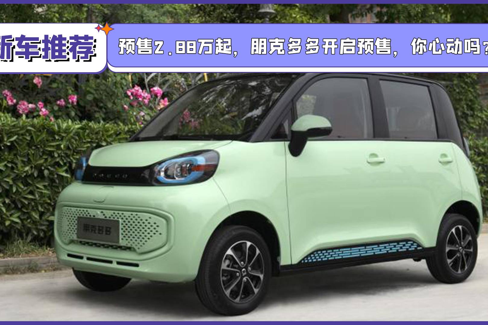 預(yù)售2.88萬起，朋克多多開啟預(yù)售，你心動嗎？