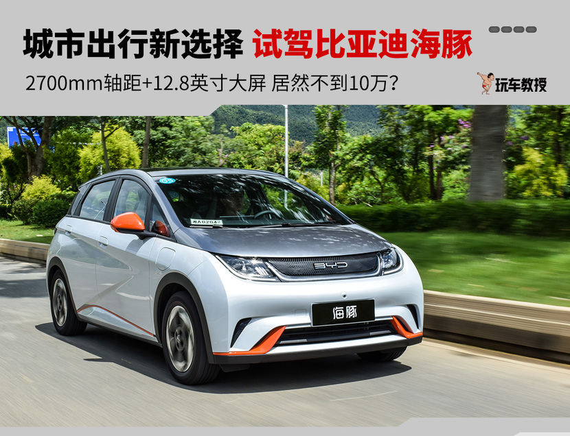 文章   为了满足这部分消费者的需求,比亚迪推出了全新车型——海豚