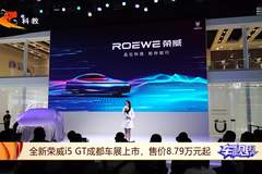河北车视界