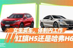 胖哥汽车频道