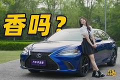 汽车洋葱圈