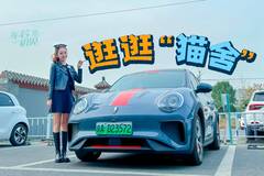 车若初见