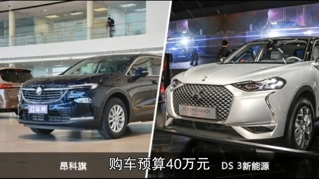 昂科旗和DS 3新能源怎么选？