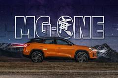萝卜报告