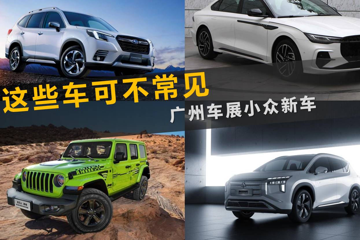 11月19日都能看到 这些车可不常见 广州车展小众新车