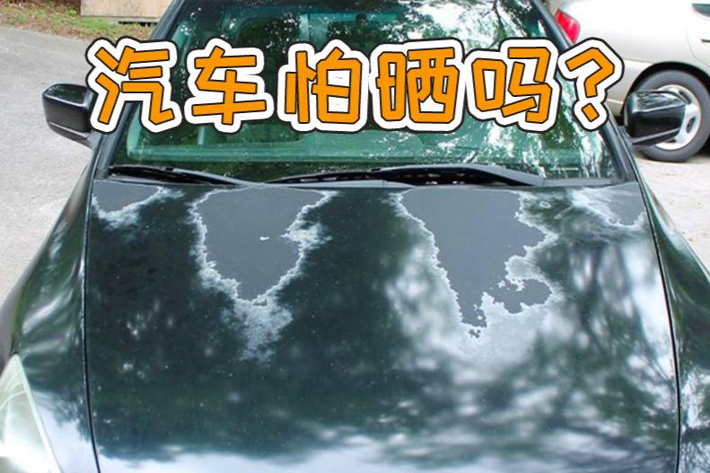 汽車不怕曬？你恐怕不知道暴曬對(duì)汽車有多大影響