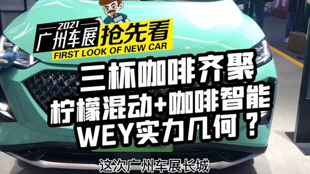 WEY齐聚三杯混动咖啡，有没有对你口味？