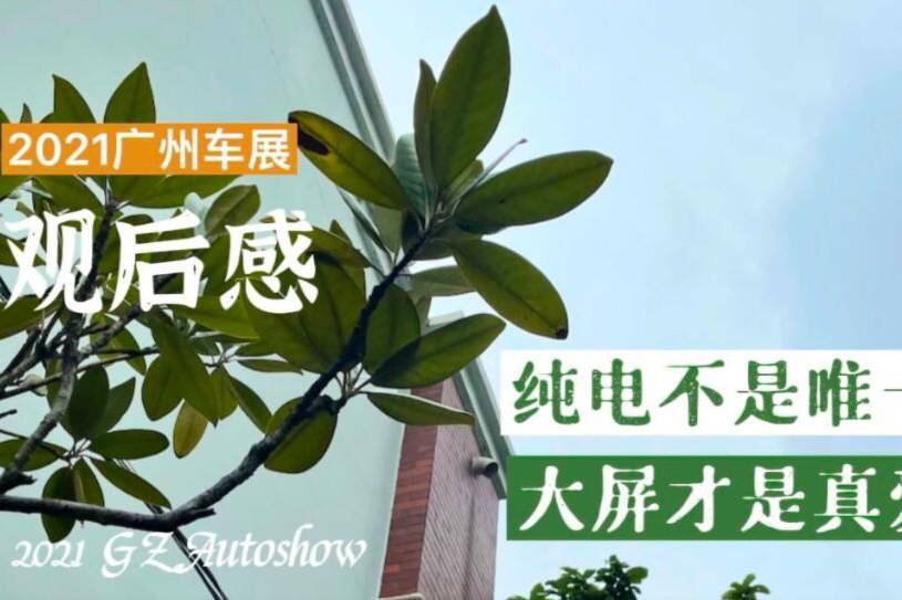 2021廣州車展觀后感：純電不是唯一 大屏才是真愛