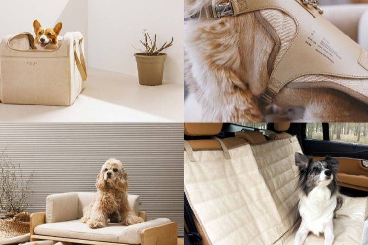 沃尔沃推出宠物安全座椅套装，宠物坐车也安全