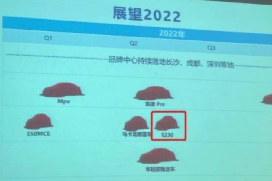 五菱全新微型电动车路试曝光 代号E230/二季度首发