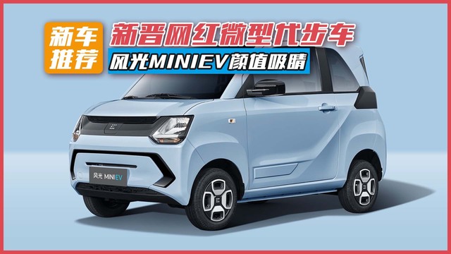 东风风光风光miniev