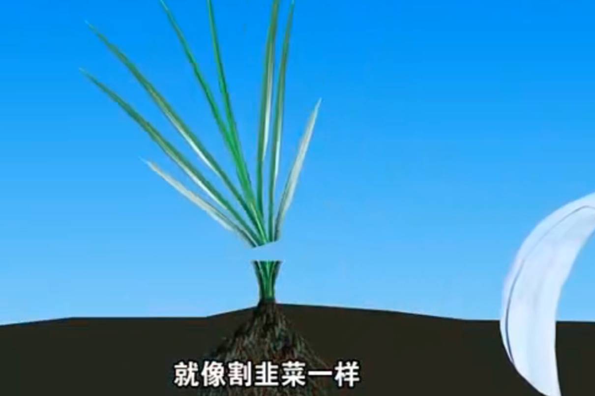 關(guān)于減配，做車(chē)不能太特斯拉