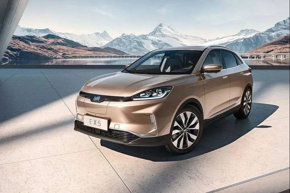 保養(yǎng)升級后續(xù)航縮水，威馬汽車暗中鎖電，遭600多名用戶維權(quán)