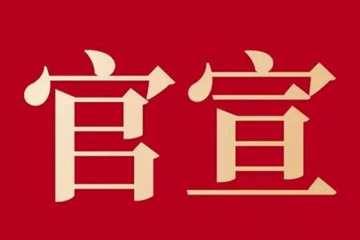 锂、镍“同浪” 新能源车价格一涨再涨！