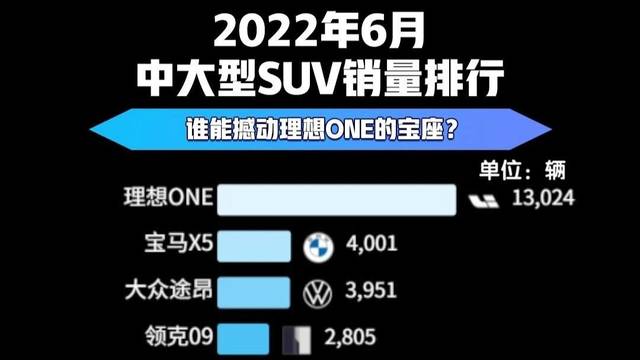 2022年6月中大型SUV销量排行榜 