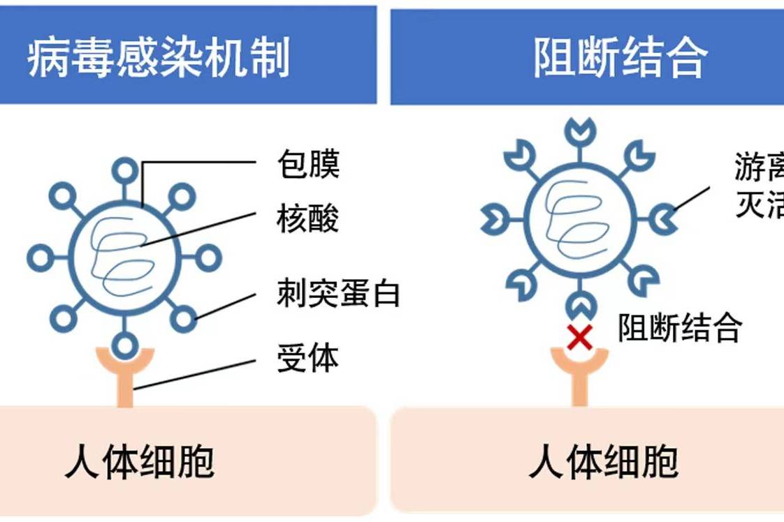 日产汽车与日本东北大学药学院共同成功研发灭活病毒的催化剂技术