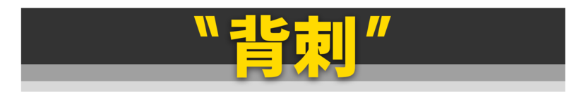 2024车圈10大热词，你知道几个？