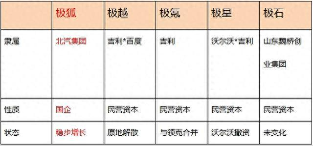 “极”字辈的新能源品牌，为什么只有极狐支棱起来了？