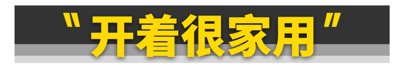 真正硬刚Model Y的车，是它？