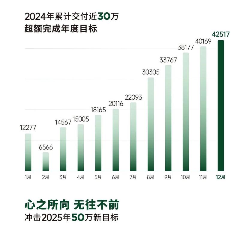 仅3家新势力完成年目标，有人今年目标100万辆，谁这么勇？