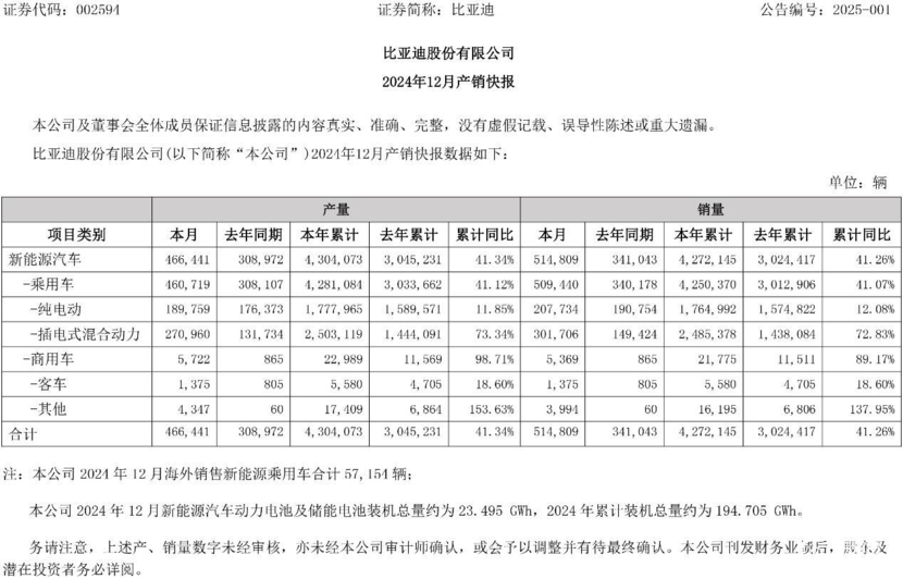 2024年度盘点：活得好的不止比亚迪