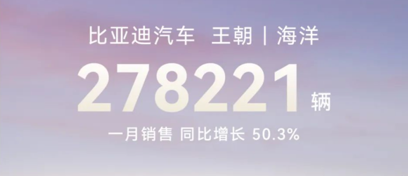 1月车企销量：比亚迪超30万，新势力分化加剧！