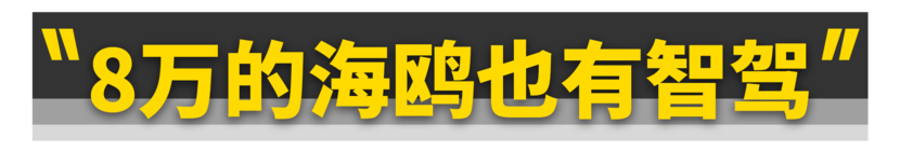 今天起，所有中国人都用得起智驾了！