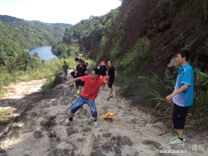 阳春市八甲各村人口总汇_阳春市永宁镇林湾村