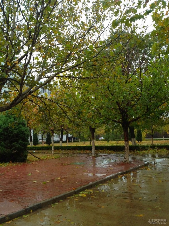 深秋雨天的燕京大学