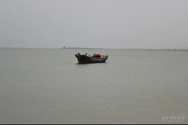 鱼是海鲜_海鲜鱼品种名称及图片_海鲜火锅(2)