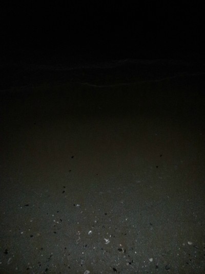     晚上的海边没有灯光