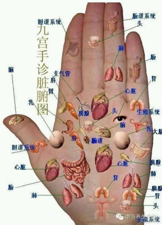 左手掌大拇指第一关节卡塔卡塔要卡一下,同时还痛一下