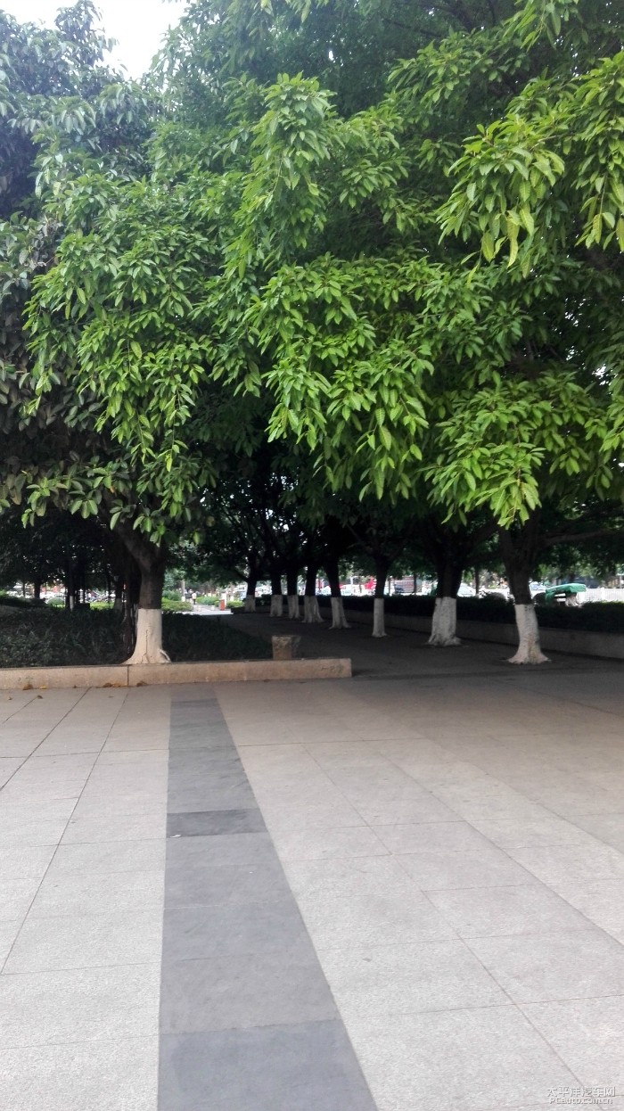 广西贵港新世纪广场内容|广西贵港新世纪广场版面 ...