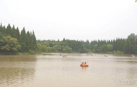 东平森林公园游玩攻略,东平森林公园