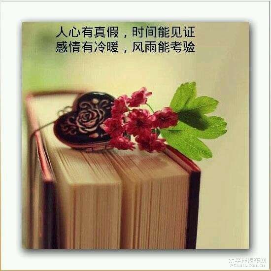 人心有真假 感情有冷暖