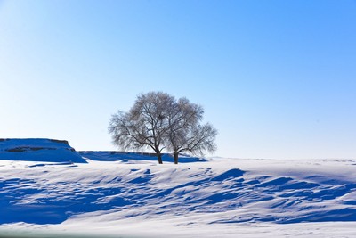 最美的冬雪—2016内蒙古坝上行