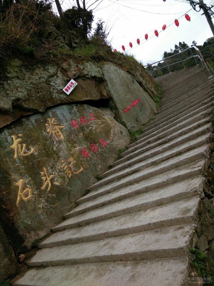 温州大罗山茶山风景区