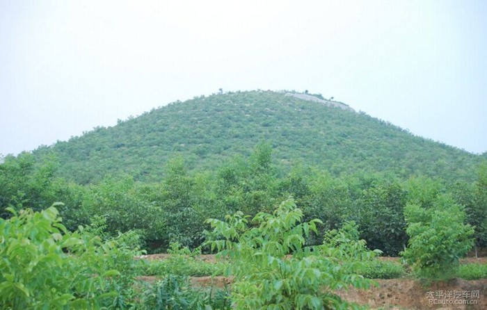 广西平南县经济林总量_广西平南县同和镇的图