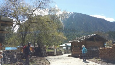 西藏处女行之波密(岗乡,草湖)