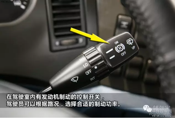 脱缰野马_脱缰野马是什么意思