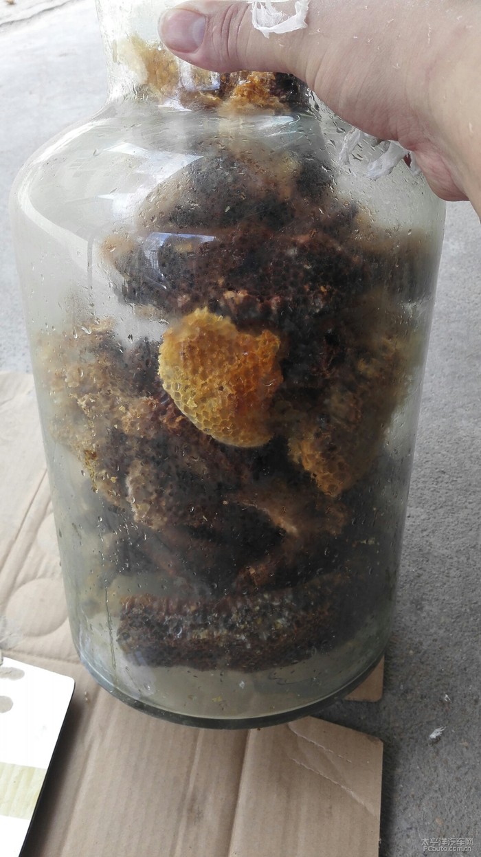 泡点蜂巢酒饮饮