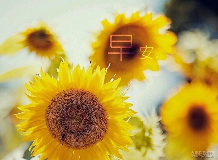 早安